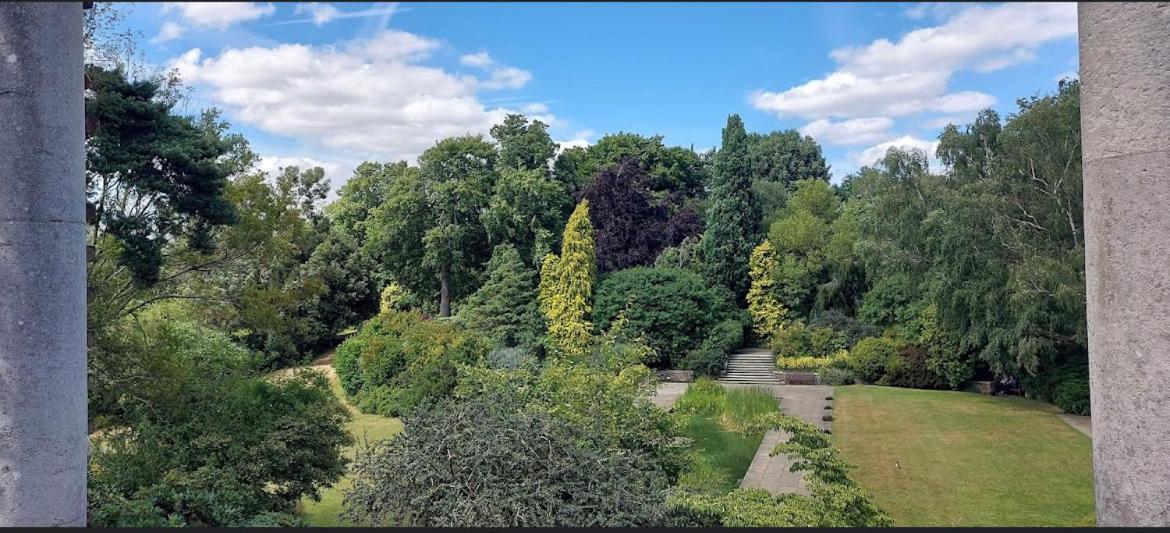 Hampstead Opulence Apartment - Luxurious Split Level Property London Eksteriør billede