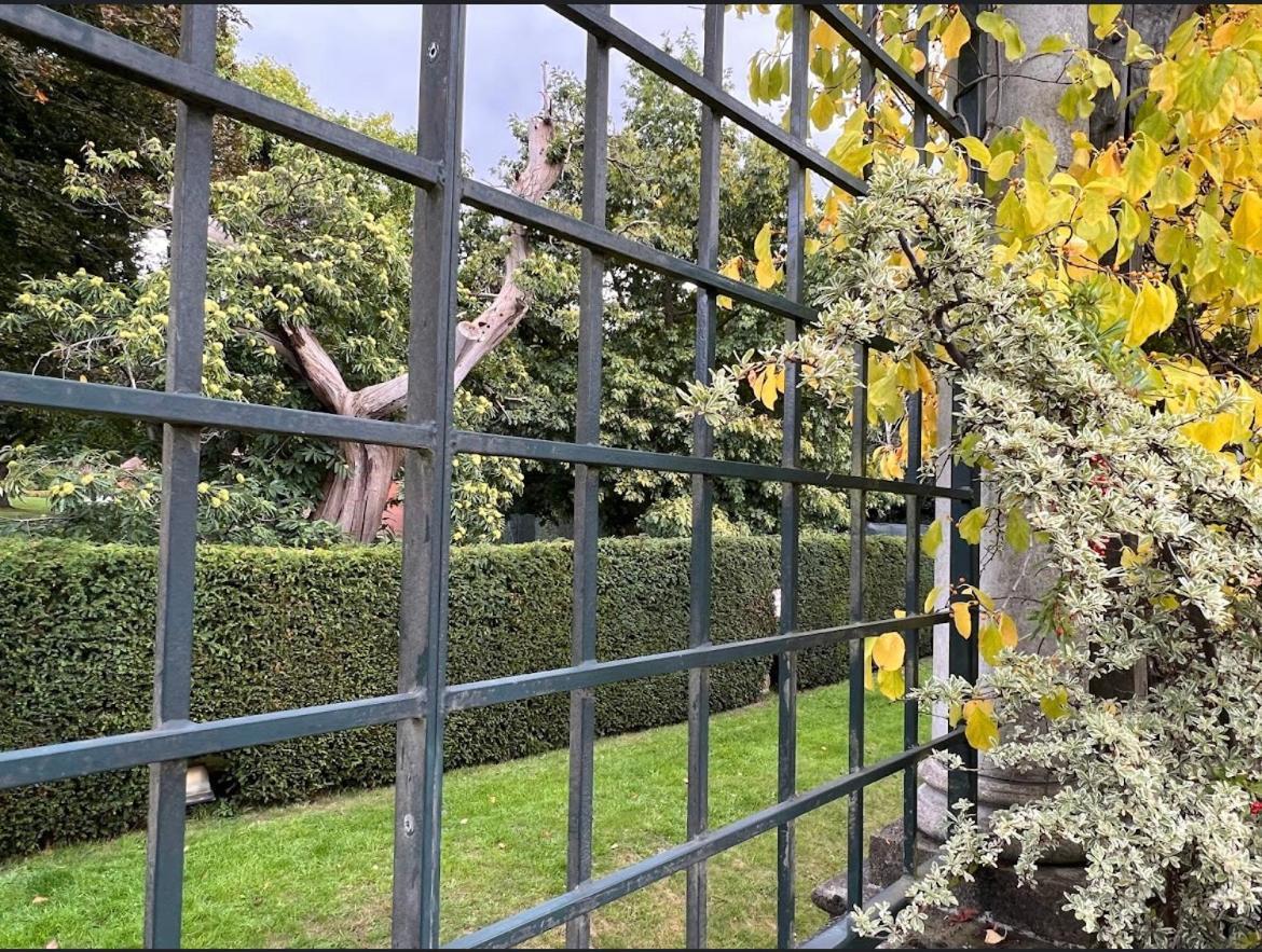 Hampstead Opulence Apartment - Luxurious Split Level Property London Eksteriør billede